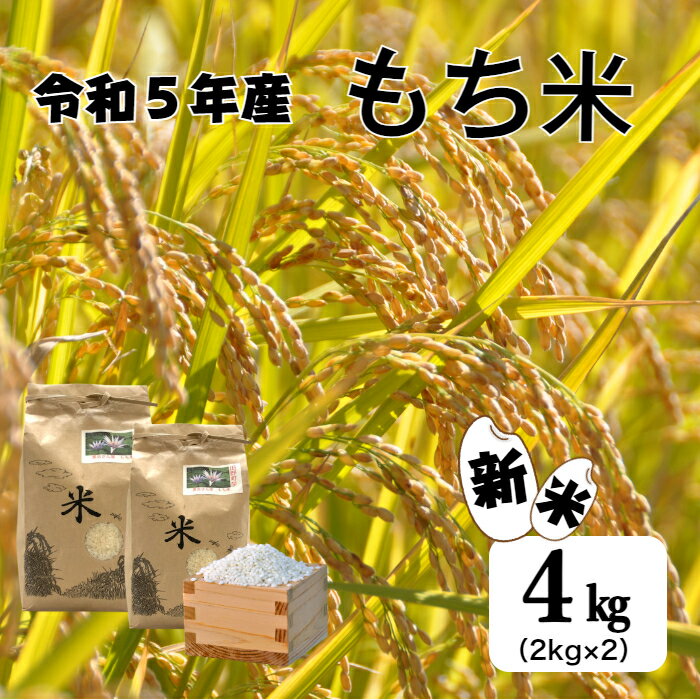 【ふるさと納税】≪数量限定≫ 令和5年産『もち米』 4kg (2kg×2袋）精米 新米 もち米 4kg 4キロ 米 お米 精米 こめ コメ もち モチ もち米 限定 雑煮 正月 粘り こし おこわ 赤飯 餅 おはぎ 6000円 小分け ふるさとのうぜい 故郷納税 高知県 田野町 送料無料 返礼品のサムネイル