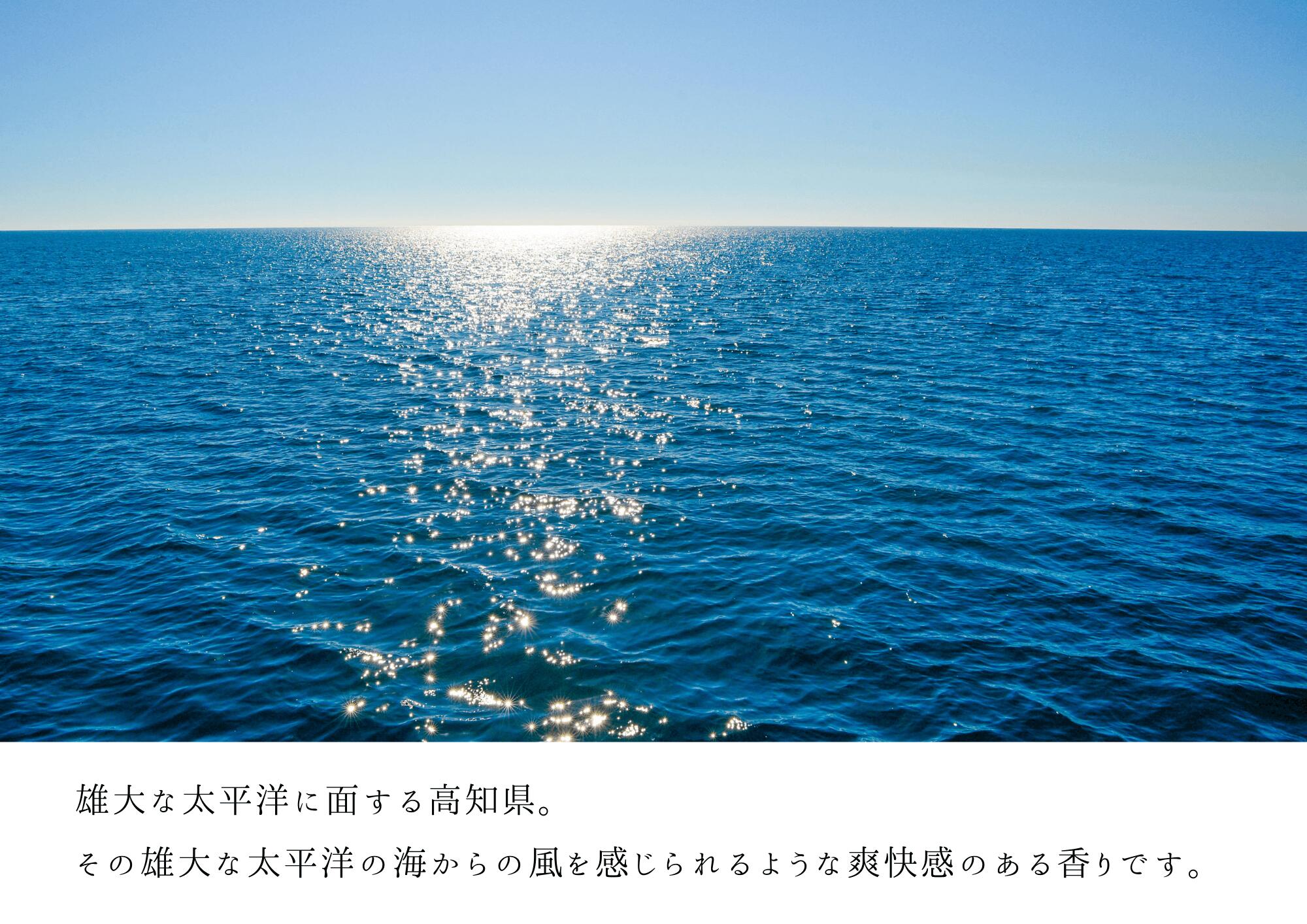 【ふるさと納税】 四国一小さなまち 『香りの教室 帆南』 アロマスプレー ～ OCEAN ～　　アロマ スプレー 携帯 手指 マスク 天然 精油 美容 ボタニカル 自然 エッセンシャルオイル 植物 海 ブレンド オリジナル 抗菌 除菌 消臭 香り 爽快 高知県 田野町 送料無料