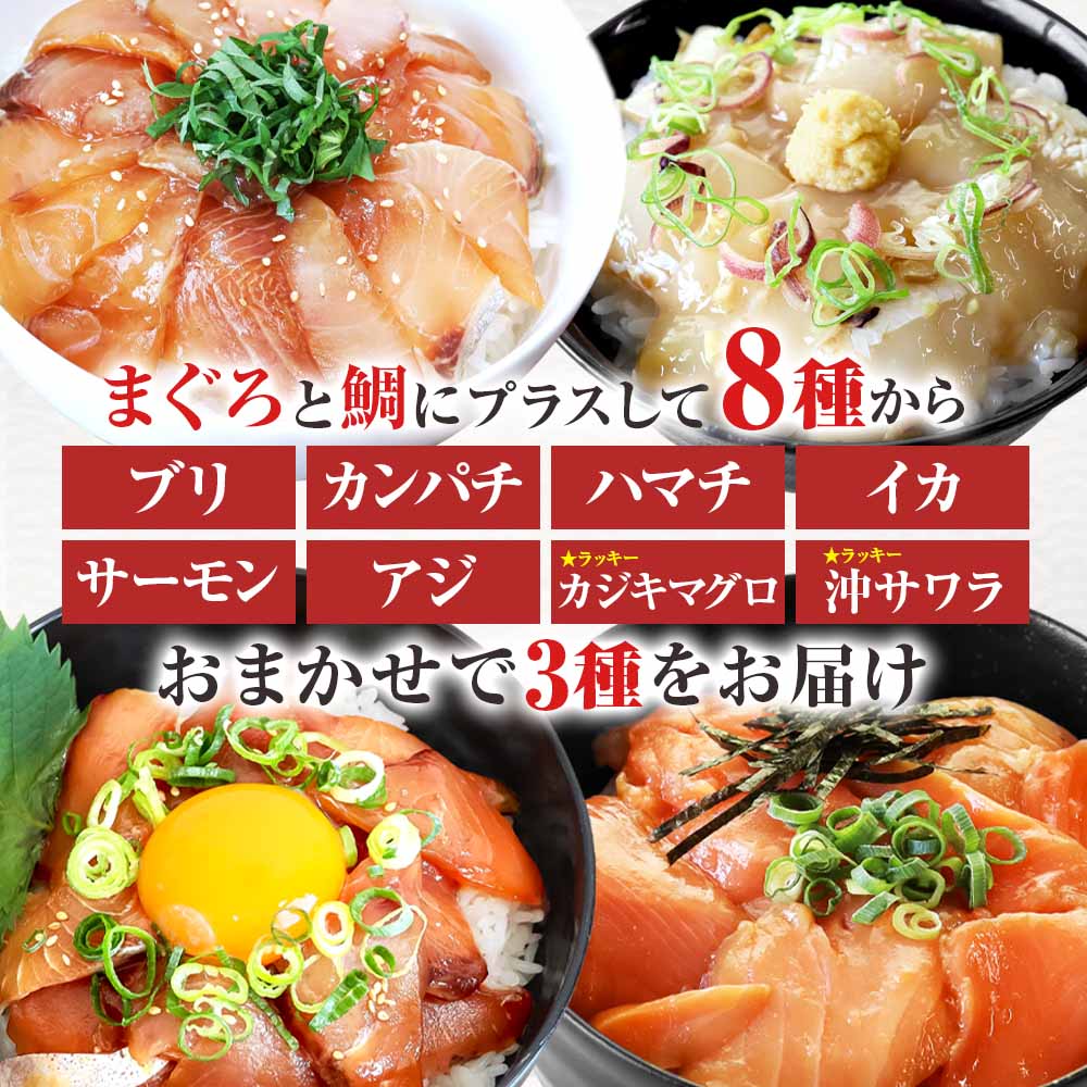 【ふるさと納税】訳あり 漬け丼 5種 80g×5P セット 6000円 10000円 おまかせセット マグロ 鯛 おまかせ3種 鮪 鯛 詰め合わせ 海鮮丼 海鮮丼の具 漬け どんぶり 丼 漬けマグロ 海鮮 漬け魚 個食 個包装 小分け 海鮮丼セット 冷凍 高知県 食べ比べ 保存食 一人暮らし 魚