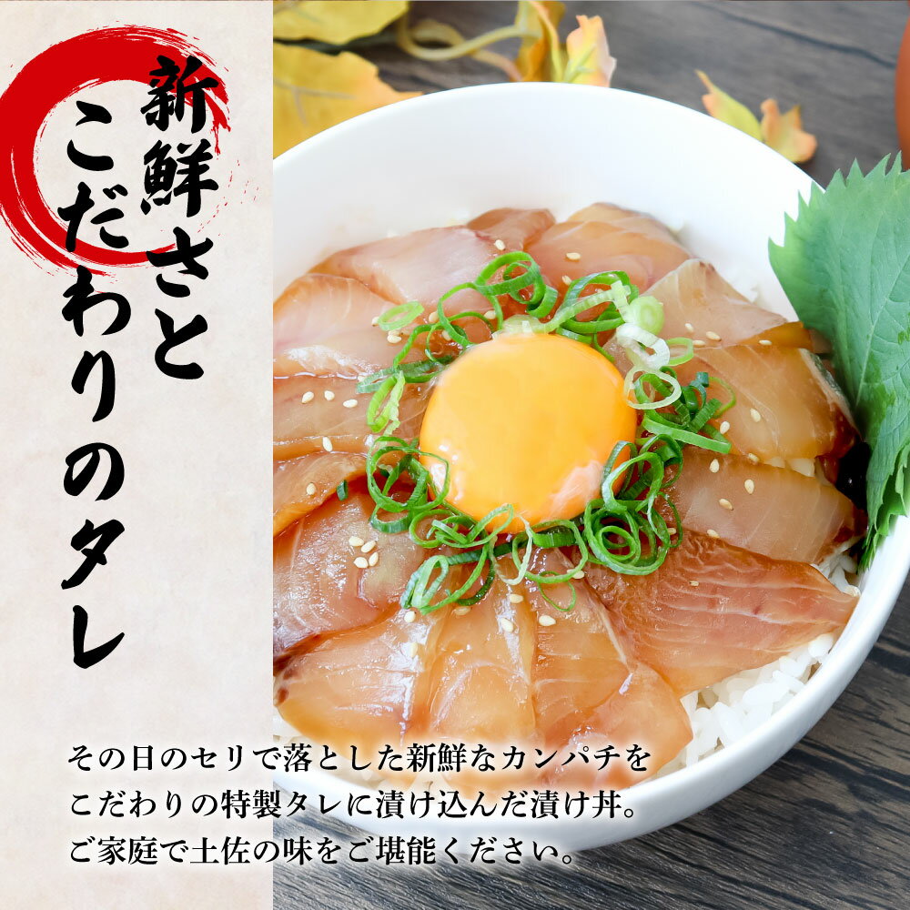 【ふるさと納税】これが魚屋の漬け丼だ！～カンパチ～ 《訳あり》 80g×5P カンパチ かんぱち 漬け丼 漬け どんぶり 丼 5パック 海鮮 魚 真空パック 個食 個包装 冷凍 配送 訳あり 規格外 不揃い わけあり 高知県 高知 ふるさとのうぜい 故郷納税 6000円 返礼品