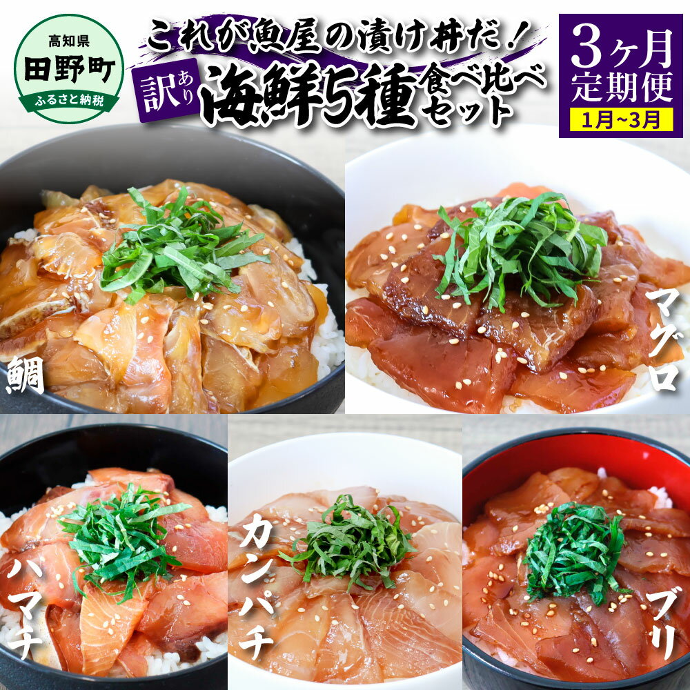 【ふるさと納税】 ＜3ヶ月定期便＞これが魚屋の漬け丼だ！(1月～3月) 訳あり 80g×10P 合計800g 海鮮漬け丼 鰤 ブリ ハマチ かんぱち まぐろ 漬け 鯛 刺身 冷凍 マグロ 赤身 海鮮 海鮮丼 刺身 海鮮セット 漬け丼 セット おかず 訳アリ わけあり 故郷納税 高知県 30000円