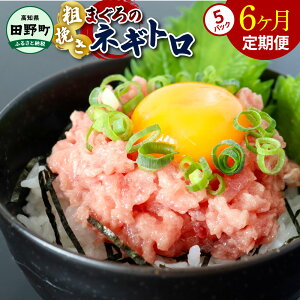 【ふるさと納税】ネギトロ 400g(80g×5パック)×6ヶ月定期便 ≪カネアリ水産≫ ねぎとろ まぐろ 鮪 マグロ キハダマグロ まぐろたたき 粗挽き 小分け パック 海鮮 魚介 便利 簡単 冷凍 配送 高知県 田野町 ふるさとのうぜい 故郷納税 返礼品 ~四国一小さなまち~