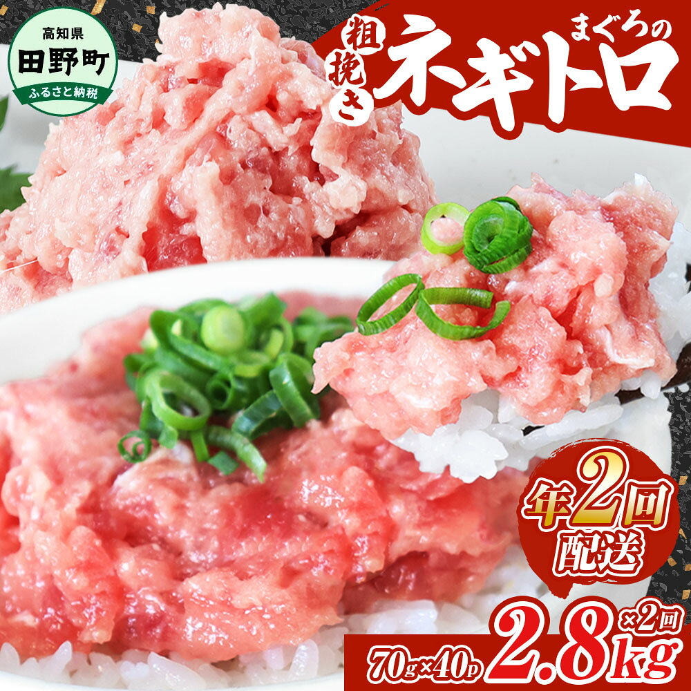 ネギトロ 2,800g（70g×40パック）×年2回配送 ≪カネアリ水産≫ ねぎとろ まぐろ 鮪 マグロ キハダマグロ まぐろたたき 粗挽き 小分け パック 海鮮 魚介 便利 簡単 冷凍 配送 高知県 田野町 ふるさとのうぜい 故郷納税 返礼品 ～四国一小さなまち～