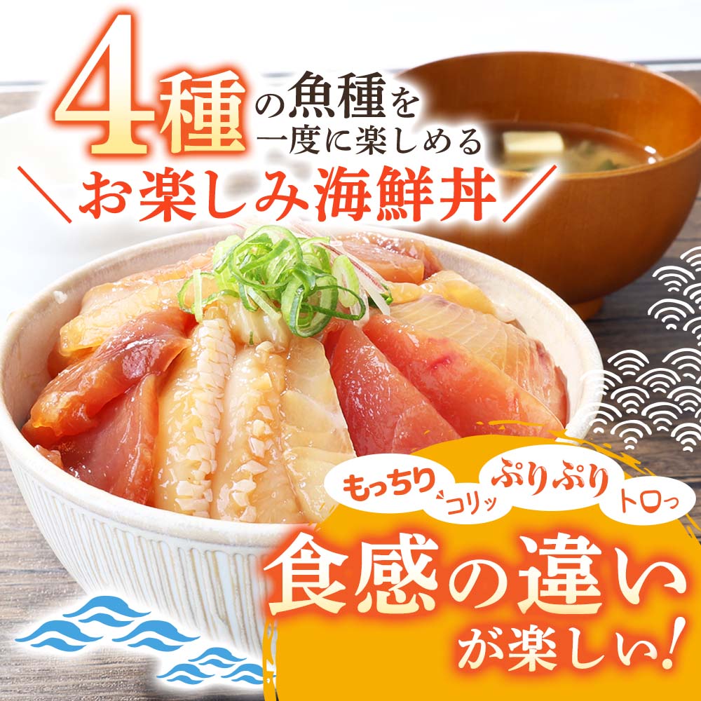 【ふるさと納税】訳あり 漬け丼 ミックス 6000円 10000円 冷凍 1パック 80g 5～10パック 海鮮丼の具 海鮮漬け 海鮮セット 詰め合わせ マグロ 赤身 ブリ 鰤 カンパチ 真鯛 ハマチ イカ サーモン 個包装 小分け 真空パック 刺身 ランキング 不揃い 食べ比べ 訳あり商品