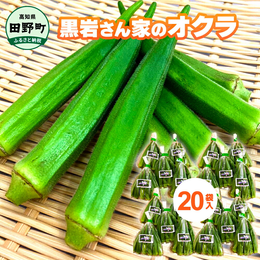 その他野菜(オクラ)人気ランク4位　口コミ数「1件」評価「5」「【ふるさと納税】黒岩さん家のオクラ 20袋 オクラ 国産 おくら 国産オクラ 新鮮野菜 美味しい 野菜 厳選 新鮮 おかず 常温 配送 副菜 惣菜 煮物 朝どれ 詰め合わせ 取り寄せ グルメ お取り寄せグルメ お取り寄せ サラダ ふるさとのうぜい 返礼品 高知県 高知 6000円」