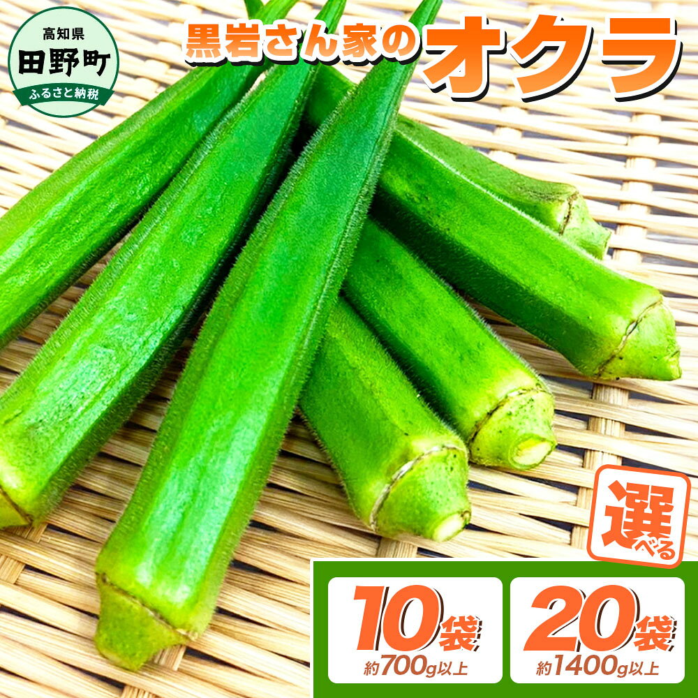 黒岩さん家のオクラ 10袋 20袋 オクラ 国産 おくら 夏野菜 新鮮野菜 美味しい 野菜 厳選 新鮮 おかず 常温 配送 副菜 惣菜 煮物 朝どれ 人気 ランキング 詰め合わせ 取り寄せ グルメ 梅かつお お取り寄せ サラダ ふるさとのうぜい 返礼品 4000円 6000円