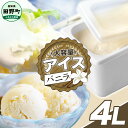 【ふるさと納税】四国一小さなまちのアイス屋さん バニラ アイスクリーム 大容量 アイス 4000ml 4L 業務用 4リットル デザート スイーツ お菓子 アイ...