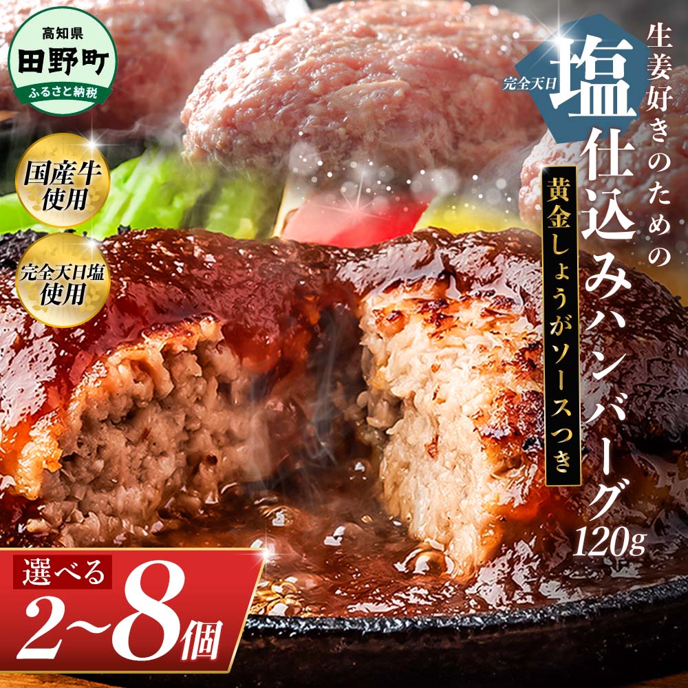 塩仕込みハンバーグ 2~8個入り 黄金しょうがソース付 1~4袋 美鮮豚 びせんとん 生姜 田野屋青蜂 白鯆 完全天日塩 肉 お肉 国産牛 四万十ポーク おかず 惣菜 ジューシー おいしい 洋食 お取り寄せ 冷凍 配送 高知県 田野町 ふるさとのうぜい 故郷納税 返礼品