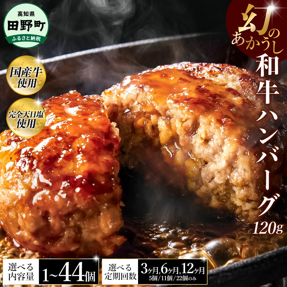 【ふるさと納税】幻のあかうし和牛ハンバーグ 選べる個数・定期便 1~44個 3~12ヶ月 田野屋青蜂 白鯆 完全天日塩練り込み 肉 お肉 国産牛 土佐あかうし 四万十ポーク おかず 惣菜 おいしい お取り寄せ 冷凍 配送 高知県 田野町 ふるさとのうぜい 故郷納税 返礼品 f393037-tano-10000937 高知県田野町 パッケージ画像