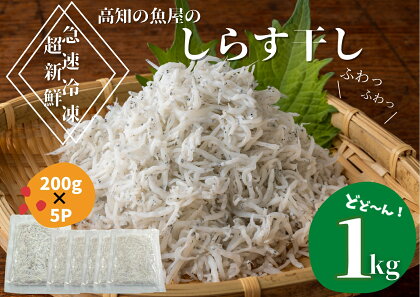 ≪カネアリ水産≫ ふわっふわ！土佐のしらす干し 1kg（約200g×5パック） 高知県 田野町 しらす しらす干し じゃこ ちりめんじゃこ ちりめん 干し 魚介 魚介類 栄養 栄養満点 離乳食 土佐 海鮮 魚屋 さかな 新鮮 食品 冷凍 送料無料 故郷納税 返礼品 12000円