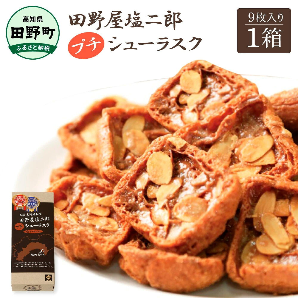 お菓子 ラスク 田野屋塩二郎完全天日塩シューラスク 9枚入り 田野屋塩二郎 天日塩 お菓子 洋菓子 焼き菓子 スイーツ シューラスク アーモンド 香ばしい 濃厚 お取り寄せ ギフト 贈り物 贈答 常温 配送 高知県 ふるさとのうぜい 故郷納税 田野町 6000円