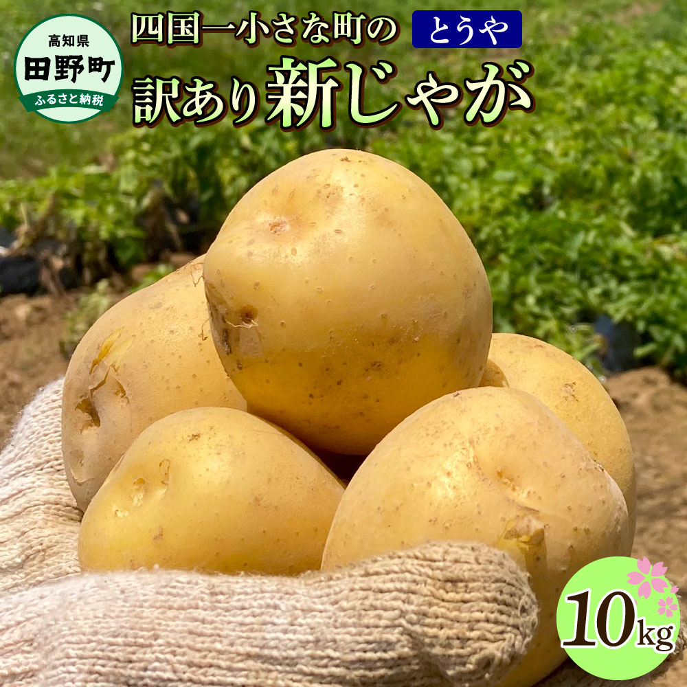 ★先行受付:2024年5月発送開始★大野台地で採れた 令和6年産新じゃがいも『とうや』10kg 訳あり品 10キロ トウヤ イモ 新じゃが ジャガイモ 芋 いも ポテト 野菜 おいしい なめらか 旬 国産 お取り寄せ 常温 配送 送料無料 高知県 田野町 故郷納税 返礼品