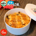【ふるさと納税】★四国一小さなまち★ わっぱ飯6個セット 鰻 うなぎ ウナギ お弁当 ご飯 ごはん めし わっぱめし 手軽 簡単 レンジ ふっくら 美味しい グルメ 和食 お取り寄せ 冷凍 配送 高知県 田野町 ふるさとのうぜい 故郷納税 返礼品