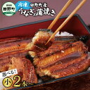 【ふるさと納税】うなぎ 国産 田野町産うなぎの蒲焼き かば焼き 2尾 5尾 うなぎの蒲焼き 小 ウナギ 鰻 無頭 蒲焼 かばやき 惣菜 海鮮 お取り寄せ 冷凍 配送 ギフト 高知県 田野町 故郷納税 返礼品 12000円~