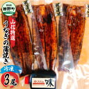 【ふるさと納税】鰻 ウナギ 10000円台 ヤマシン特選うなぎの蒲焼き3尾(特製タレ・山椒付き) 約130g×3尾 うなぎ 鰻 ウナギ 国産 高知県産 尾 かば...