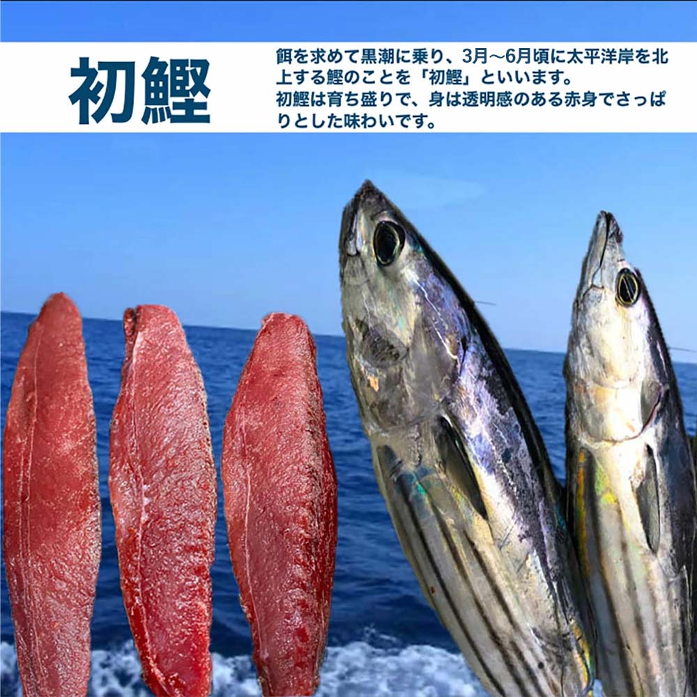 【ふるさと納税】★数量限定★ ≪ヤマシン≫ 初鰹のわら焼きタタキ 1節 ※新にんにく1玉...