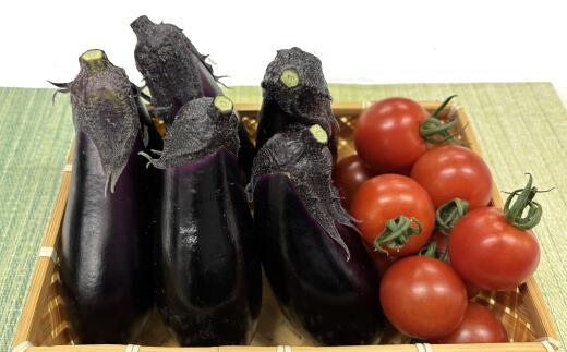 高知県安田町の画像2