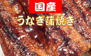 【ふるさと納税】 国産うなぎの蒲焼 約150g×2匹 うなぎ 鰻 150g×2匹 300g 国産 蒲焼 冷凍 特製タレ 山椒 付き うな重 うな丼 ひつまぶし ...