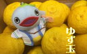 【ふるさと納税】 安田町産 ゆず玉-料理にお酒にお風呂にどうぞ- 期間限定 ゆず 12-15玉 柚子 果物 柑橘 フルーツ スイーツ デザート アレンジ 柚子風呂 ゆず風呂 柚子湯 早期予約 季節限定 ふるさと納税 人気 高知 安田町 TR-26