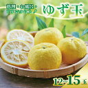【ふるさと納税】 安田町産 ゆず玉-料理にお酒にお風呂にどうぞ- 期間限定 ゆず 12-15玉 柚子 果物 柑橘 フルーツ スイーツ デザート アレンジ 柚子風呂 ゆず風呂 柚子湯 早期予約 季節限定 ふるさと納税 人気 高知 安田町 TR-26