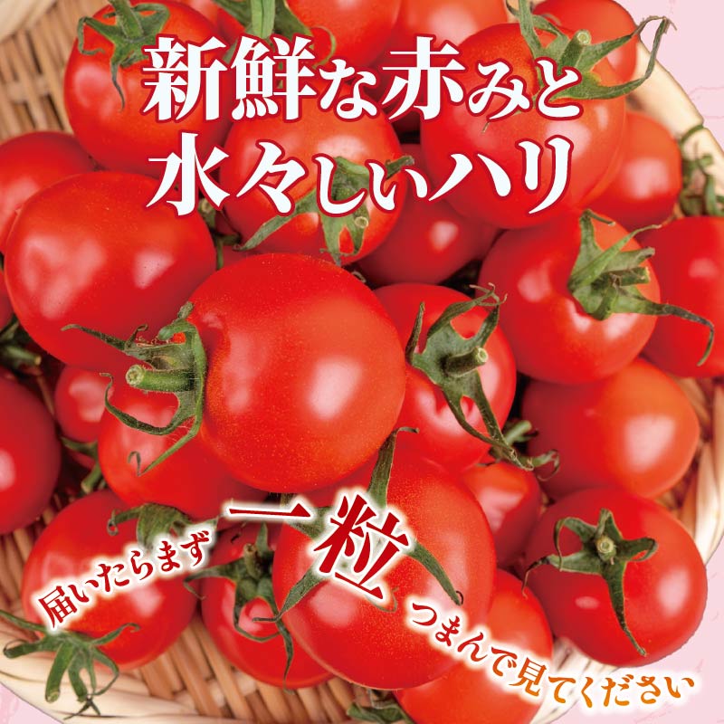 高知県安田町の画像3