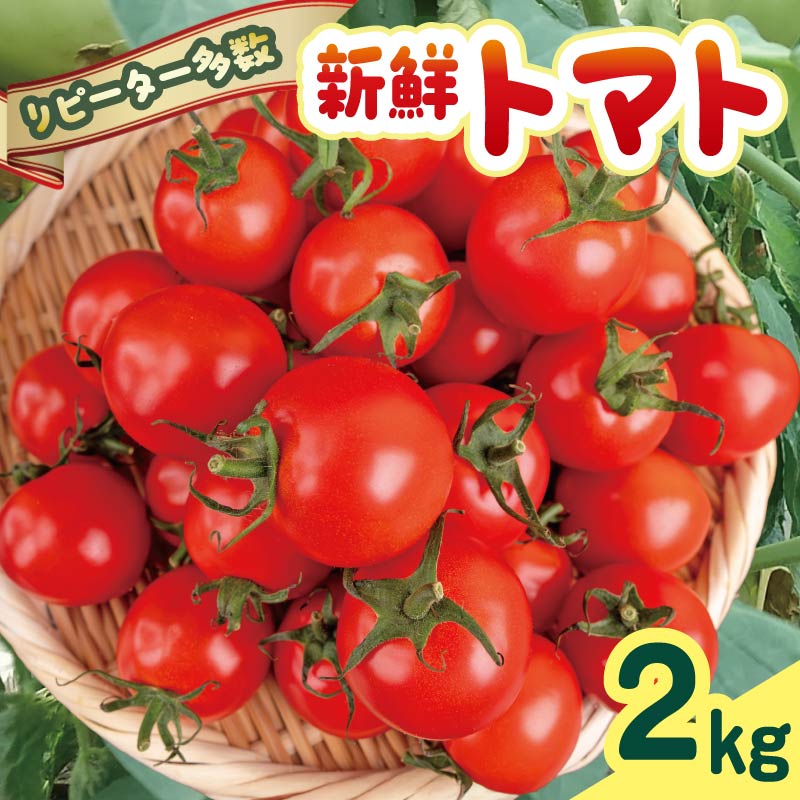 【ふるさと納税】 【新鮮なトマトをたくさんお届け！】安田町産 愛情たっぷり新鮮トマト2kg 先行受付 完熟 トマト とまと トマト フルーツトマト ミディトマト 高知県産 2kg 産地直送 新鮮 もぎたて 人気 野菜 とまと 栄養 ヘルシー 先行予約 期間限定 高知 安田町 TR-11