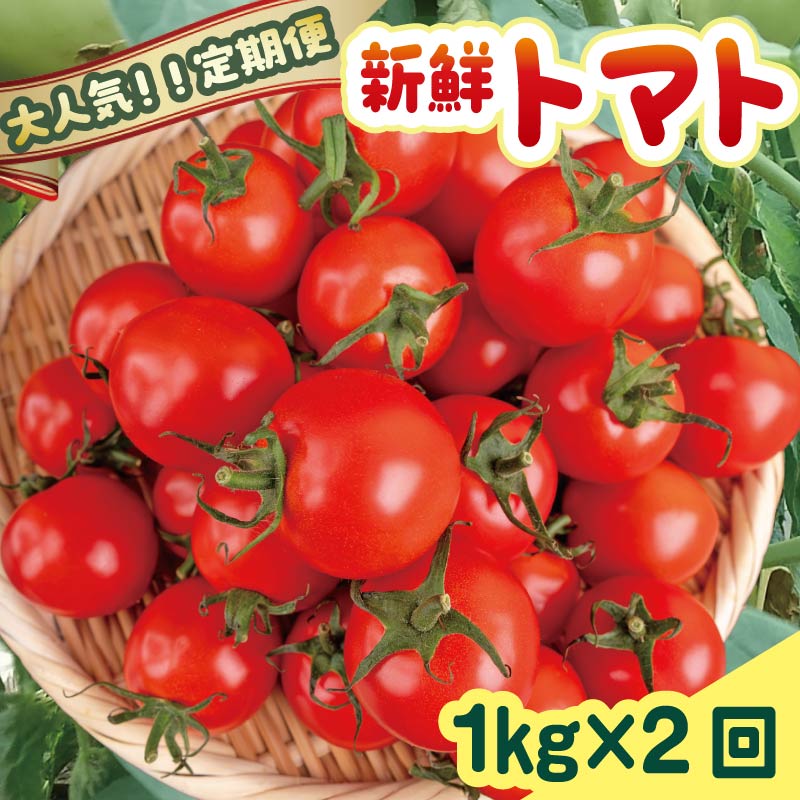 [新鮮トマトを2回お届け!]安田町産新鮮トマト 1kg 定期便 2回発送 計2kg 早期予約 2ヶ月 定期便 とまと トマト フルーツトマト ミディトマト 1kg 新鮮 野菜 旬 とまと 夏野菜 期間限定 季節限定 先行予約 ふるさと納税 人気 高知 安田町