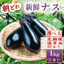 【ふるさと納税】 【この時期だけの日本一ナスを幅広いサイズでお届け!】 新鮮 なす 生産量日本一 茄子 選べる内容量 訳あり わけあり 通常品 定期便 野菜 やさい 産地直送 朝採り 採りたて 先行予約 期間限定 旬の野菜 高知県 安田町1kg 2kg 20本 50本 2回定期便