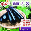 【ふるさと納税】選べる 収穫したその日に発送する新鮮ナス【2025年10月下旬から発送】