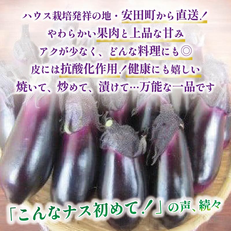 高知県安田町の画像2