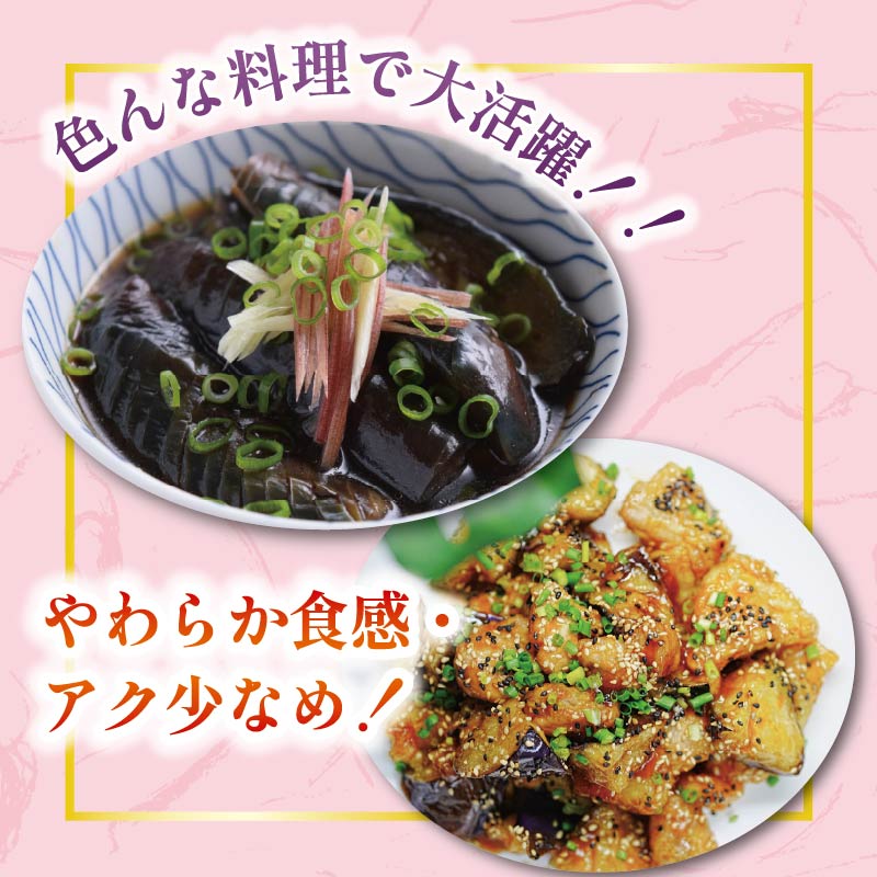 高知県安田町の画像3