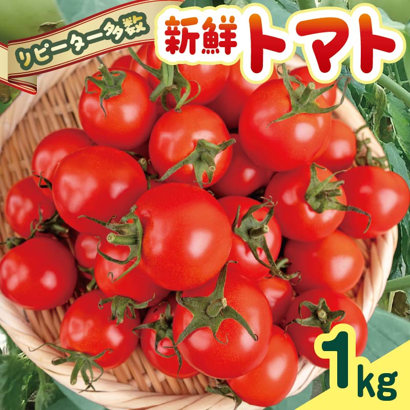 [使いやすいお手頃サイズ!]安田町産 愛情たっぷり新鮮トマト1kg 先行受付 完熟 トマト とまと トマト フルーツトマト ミディトマト 高知県産 1kg 産地直送 新鮮 採りたて おすすめ ランキング 人気 野菜 とまと 栄養 ヘルシー 高知 安田町