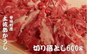 【ふるさと納税】 「土佐あかうし」切り落とし600g 牛肉 和牛 切り落とし 600g 土佐あかうし 土佐 あかうし ブランド牛 国産 国産牛 人気 お取り寄せ 冷凍 BBQ バーベキュー 焼肉 焼き肉 贈答 高知 安田町 MT-01