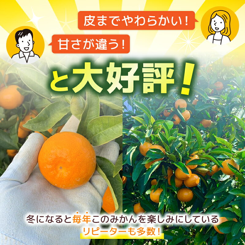 高知県安田町の画像2