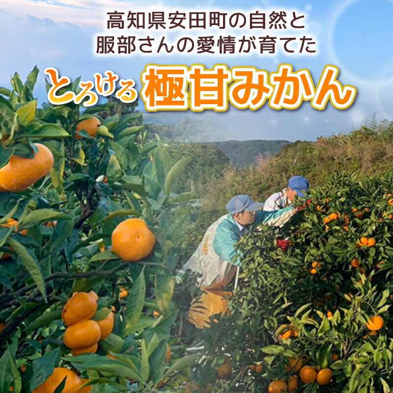 高知県安田町の画像3