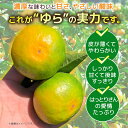 高知県安田町の画像2