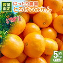 【ふるさと納税】服部農園 安田町生まれはっとり育ち。の「とろけるみかん」5Kg(サイズS)早期予約 家庭用 みかん 5kg Mサイズ 柑橘 蜜柑 ゆら早生 期間...