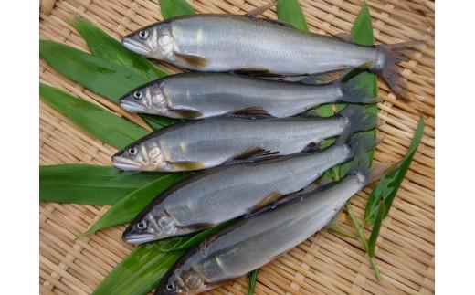 高知県安田町の画像2