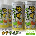 21位! 口コミ数「0件」評価「0」ゆずサイダー30本/1ケース【北川村ゆず王国】【1508082】