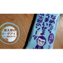 【ふるさと納税】慎太郎のソーダアイス 10個【配送不可地域:離島】【1508087】