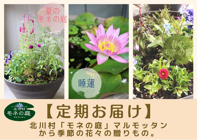 [定期お届け]北川村「モネの庭」から季節の花々の贈りもの。