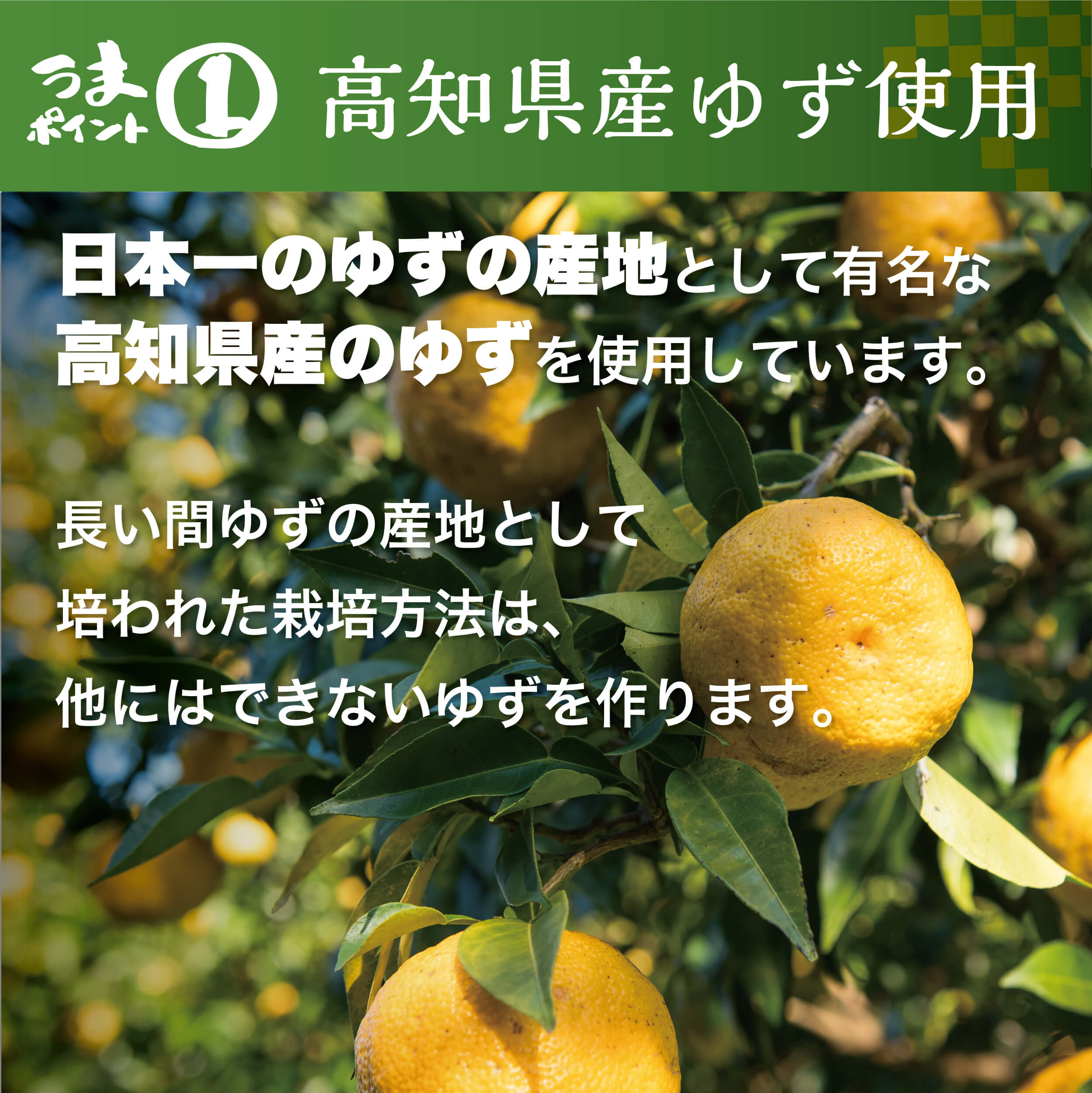 【ふるさと納税】 （定期便もあります） 調味料 鍋 ゆずの村 ぽん酢 ゆず 柚子 ゆずポン酢 ドレッシング 国産 有機 オーガニック 水炊き 唐揚げ カツオのタタキ たれ 醤油 天皇杯 お中元 お歳暮 母の日 父の日 贈答用 のし 熨斗 産地直送 送料無料 高知県馬路村 [463]