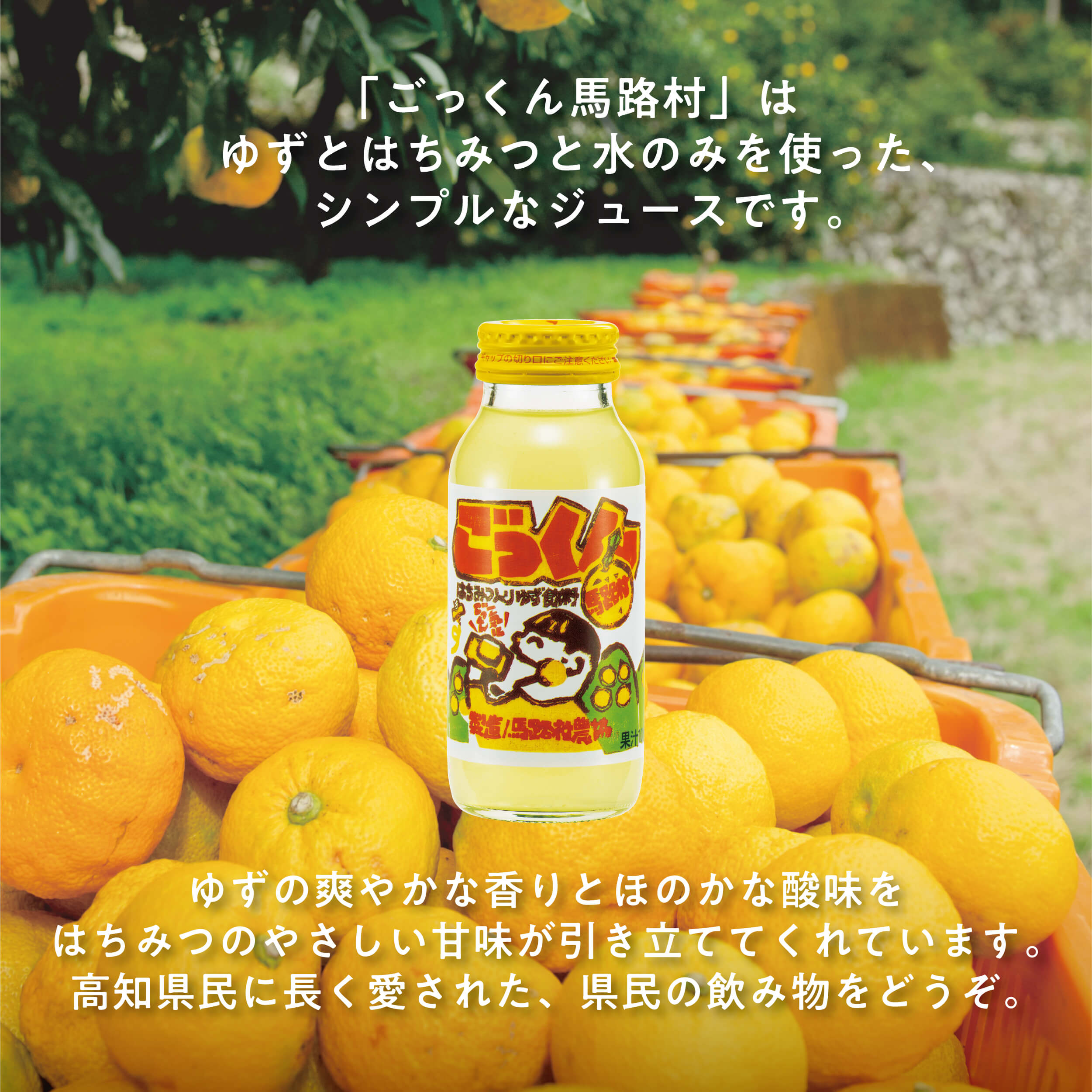 【ふるさと納税】 ジュース ゆずドリンク ごっくん馬路村（缶ボトル） 柚子ジュース ゆずジュース フルーツジュース 定期便 ゆず はちみつ 清涼飲料水 飲料 ランキング 人気 柚子 有機 オーガニック 無添加 お中元 お歳暮 母の日 父の日 贈答用 のし 高知県 馬路村