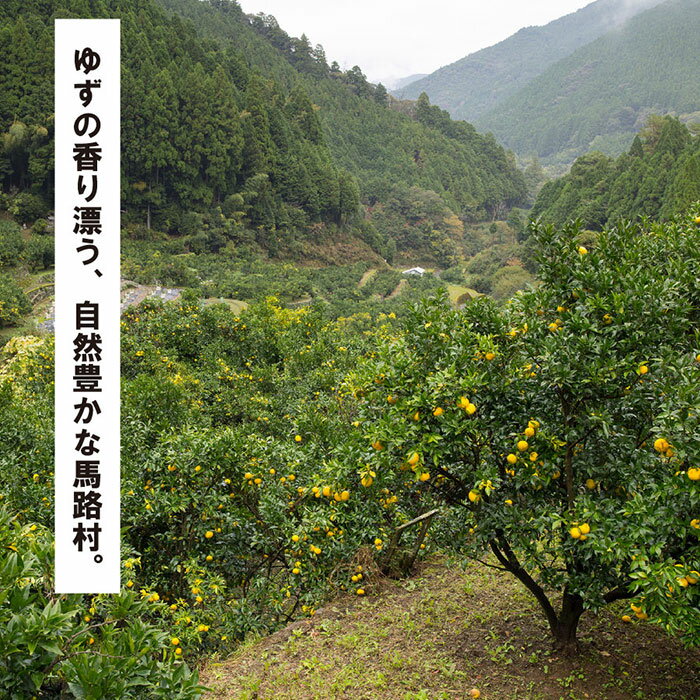 【ふるさと納税】ゆず茶3個セット 高知県 馬路村【500】