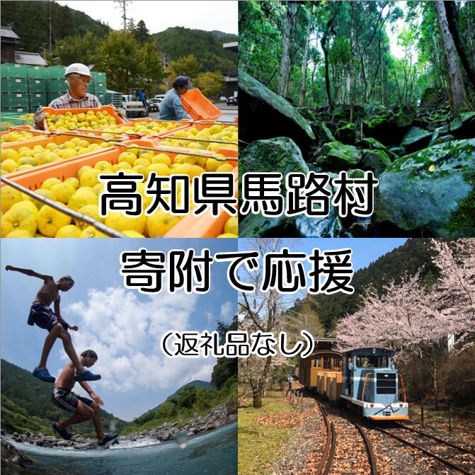 「ふるさと納税」寄付金は、下記の事業を推進する資金として活用してまいります。 寄付を希望される皆さまの想いでお選びください。 (1) 安田川の清流、澄んだ空気など豊かな自然環境の保全に関する事業 (2) 馬路村の景観の維持・再生に関する事業 (3) ゆず産業、木材産業など産業振興の推進に関する事業 (4) 子どもたちの健やかな成長と子育て支援に関する事業 (5) 馬路村特別村民制度など交流事業の充実に関する事業 (6) 伝統文化・スポーツの充実に関する事業 (7) 使途は指定しません 入金確認後、注文内容確認画面の【注文者情報】に記載の住所にお送りいたします。 発送の時期は、寄附確認後2~3週間程度を目途にお送りいたします。