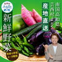【ふるさと納税】【先行予約】野菜 朝採れ 野菜詰め合わせ 朝獲れ セット 芸西村で採れた新鮮な野菜6~8種類 野菜 詰め合わせ お試し 新鮮 食べ比べ 特産品 ピーマン 環境 ナス 旬 支援品 故郷納税 野菜セット 産地直送 5000円台 おすすめ(クラウドファンディング対象)