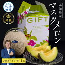 【ふるさと納税】 コロナ 緊急支援 高知県産 高級マスクメロン(ご贈答・ギフト用)1玉入 故郷納税【発送期間:4月〜12月(9カ月)】【1月〜3月は気候温度不安...