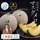 【ふるさと納税】 コロナ 緊急支援 高知県産 高級マスクメロン(ご家庭用)2玉入 故郷納税 2万円【発送期間:4月~12月(9カ月)】【1月~3月は気候温度不安定の為出荷不可となります。】〈南国市共通返礼品〉家庭用 訳あり