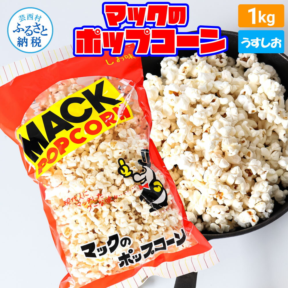 マックのポップコーン塩味 1kg ポップコーン マック 塩ポップコーン 1キロ 業務用 大容量 お菓子 駄菓子 おやつ おつまみ 美味しい 人気 おうち時間 イベント 映画館 お祭り 定番 塩 8000円 ふるさとのうぜい 故郷納税 返礼品