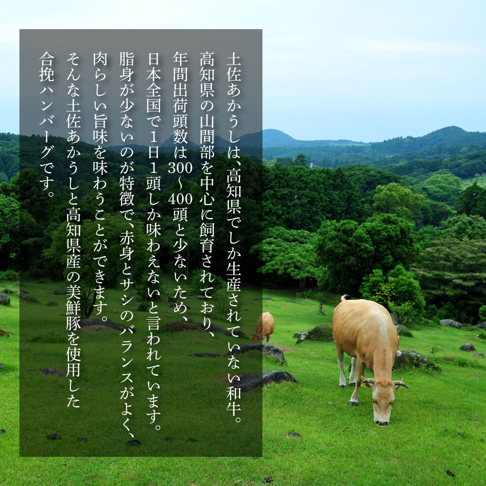 【ふるさと納税】】創業50年老舗レストランの幻の和牛あかうしハンバーグ120g×32コ＋特製デミソース×8袋、特製トマトソース×8袋 人気惣菜 数量限定 牛肉 豚肉 故郷納税 焼くだけ 溢れる肉汁 土佐あか牛 ハンバーグ 小分け ランキング 人気 ランキンング おすすめ f393070-geisei-10001825 高知県芸西村 サンプル画像3